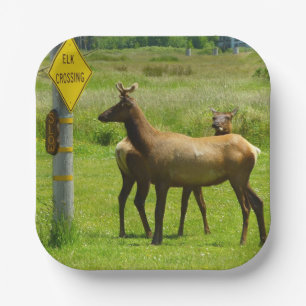 Elk Crossing California Wildlife Photography Paper Plate