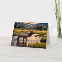 Elk Crossing the River Birthday