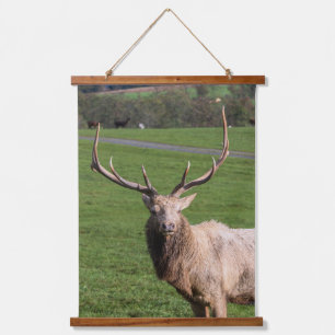 Elk Custom 26"x36" Vertical (Portrait), One Panel Hanging Tapestry