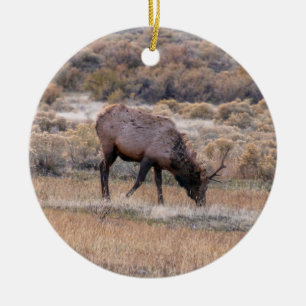 Elk Deer Ornament