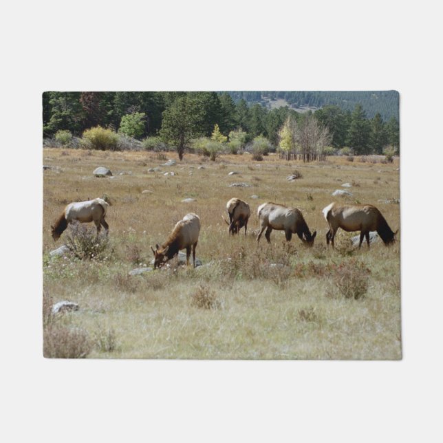 Elk door mat (Front)