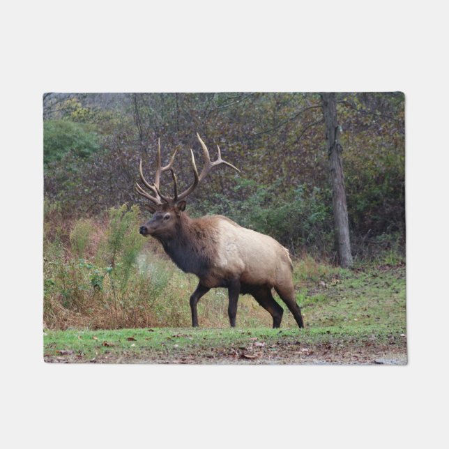 Elk Door Mat (Front)