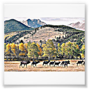 Elk Fest Photo Print