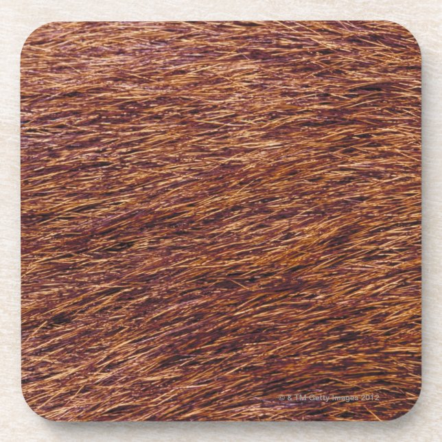 Elk fur coaster (Front)