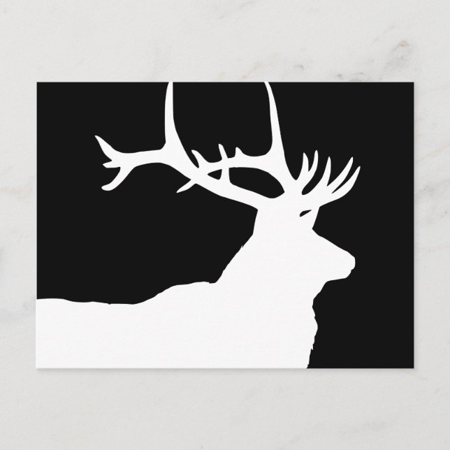 Elk Head Postcard (Front)