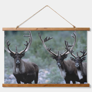 Elk Herd Mt. Baring, Washington Hanging Tapestry