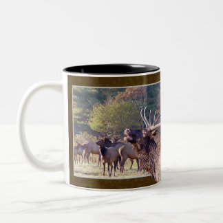 Elk Herd Mug