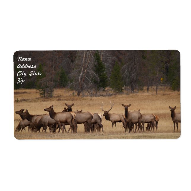 Elk Herd  Shipping Label (Front)