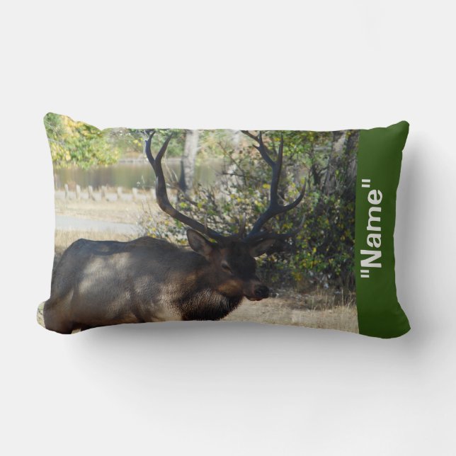 Elk Hunting Bed Room Mancave Decorative Pillow (Front)