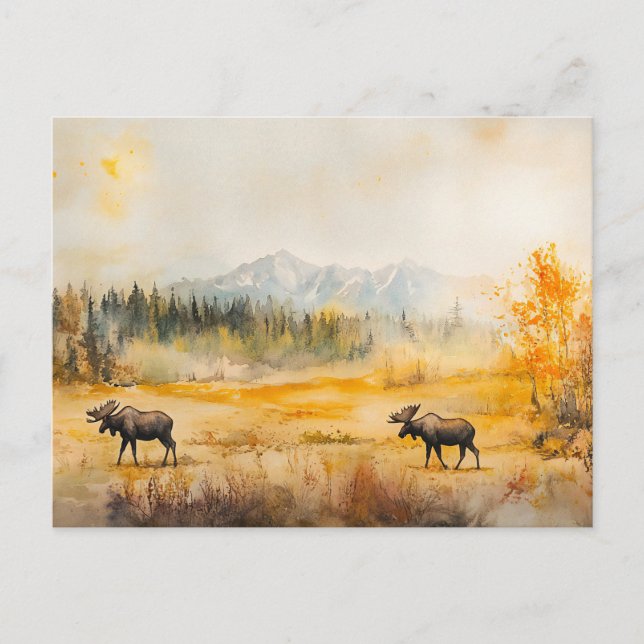Elk in Autumn - postcard (Front)