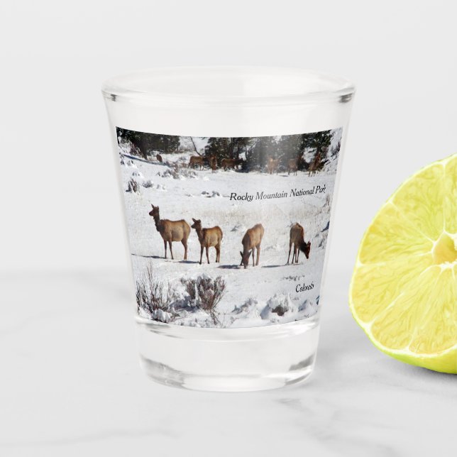 Elk in snow shot glass (Front)
