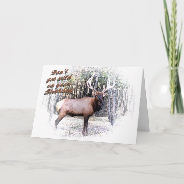 Elk in the Thicket Card (Front)
