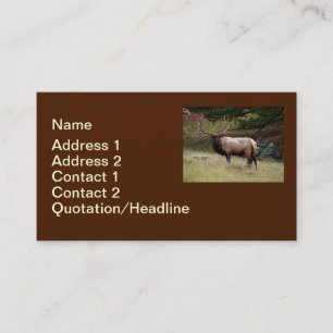Elk in the Wild Business Card