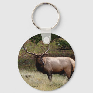 Elk in the Wild Key Ring