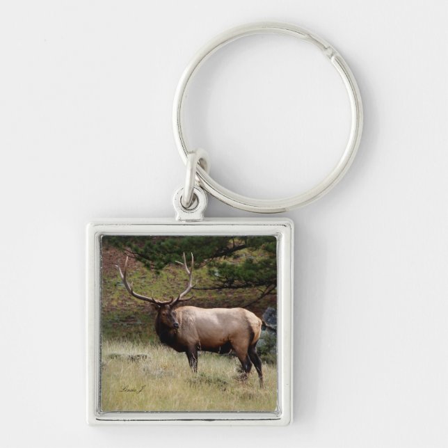 Elk in the Wild Key Ring (Front)