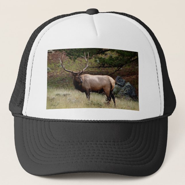 Elk in the Wild Trucker Hat (Front)