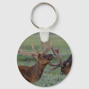elk keychain