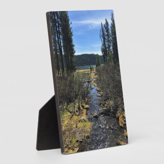 Elk Lake, OR Plaque (Side)