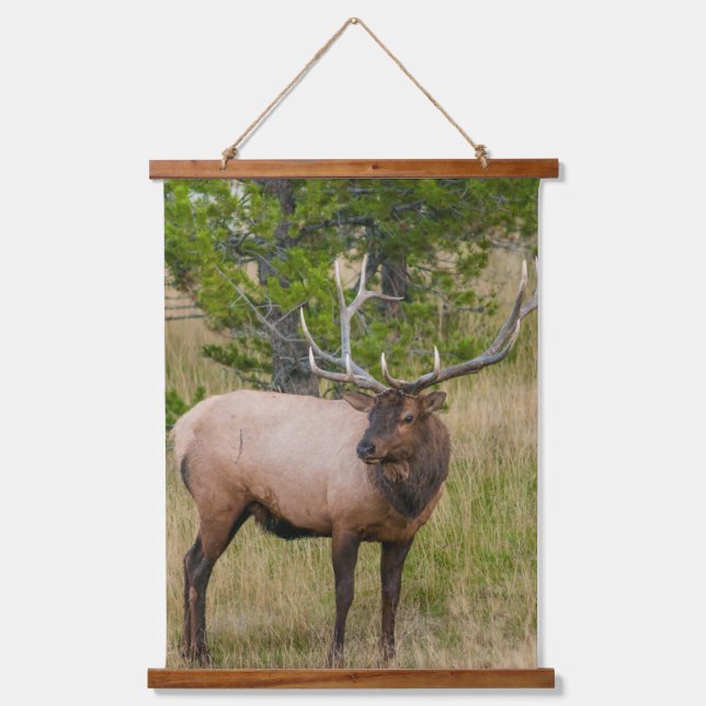 Elk Lake Village Yellowstone National Park Wyoming Hanging Tapestry (Front)