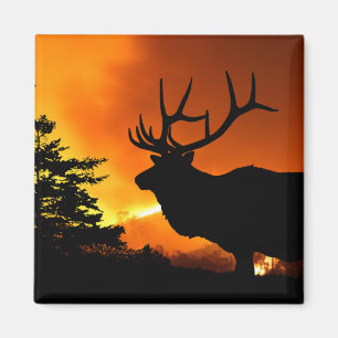 Elk Magnet