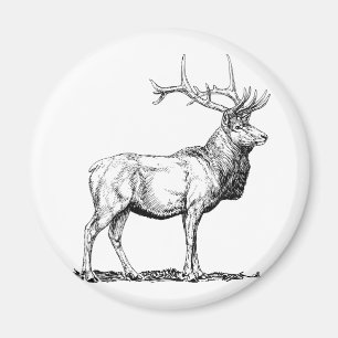 Elk Magnet