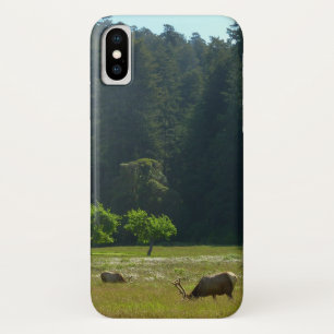 Elk Meadow at Redwood National Park Case-Mate iPhone Case