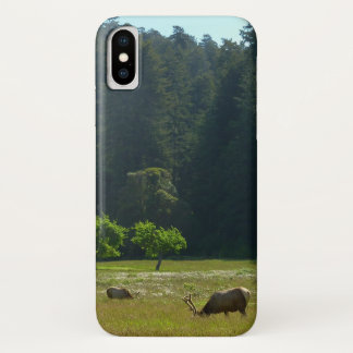 Elk Meadow at Redwood National Park Case-Mate iPhone Case