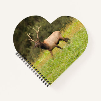 Elk Notebook