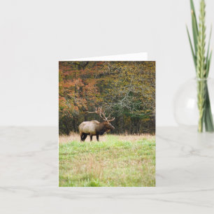 Elk Notecard