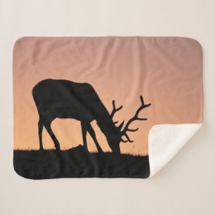 Elk Rocky Mountains National Park, Colorado Sherpa Blanket