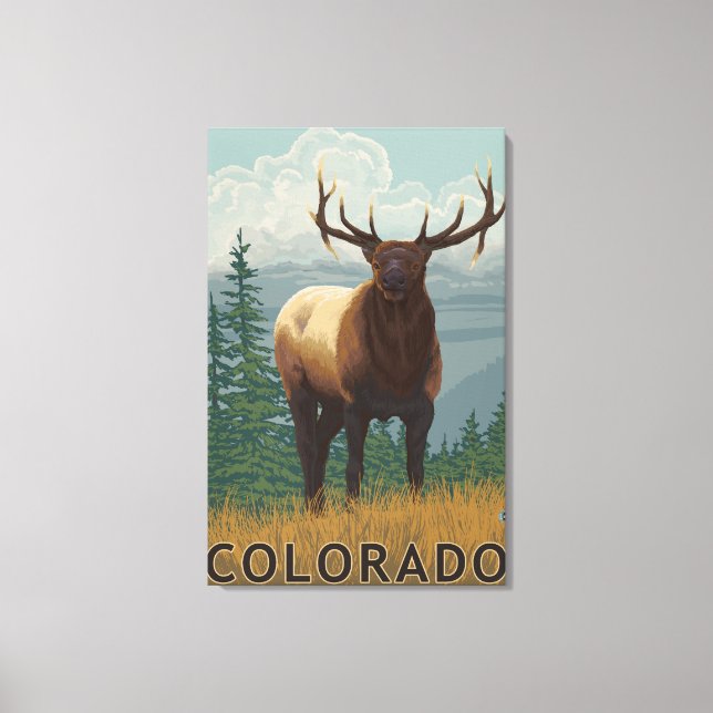 Elk SceneColorado Canvas Print (Front)