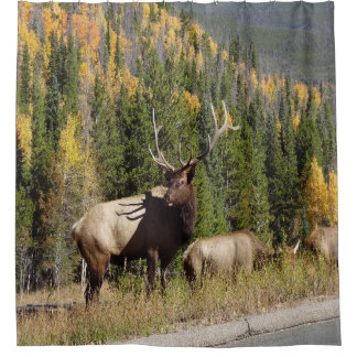 Elk Shower Curtian Curtain