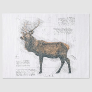 Elk Stag Drawing Tissue Paper