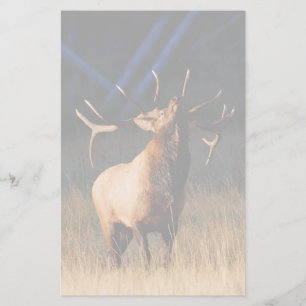 elk stationery