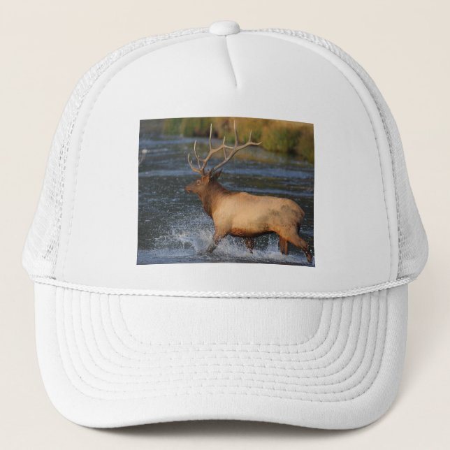 elk trucker hat (Front)