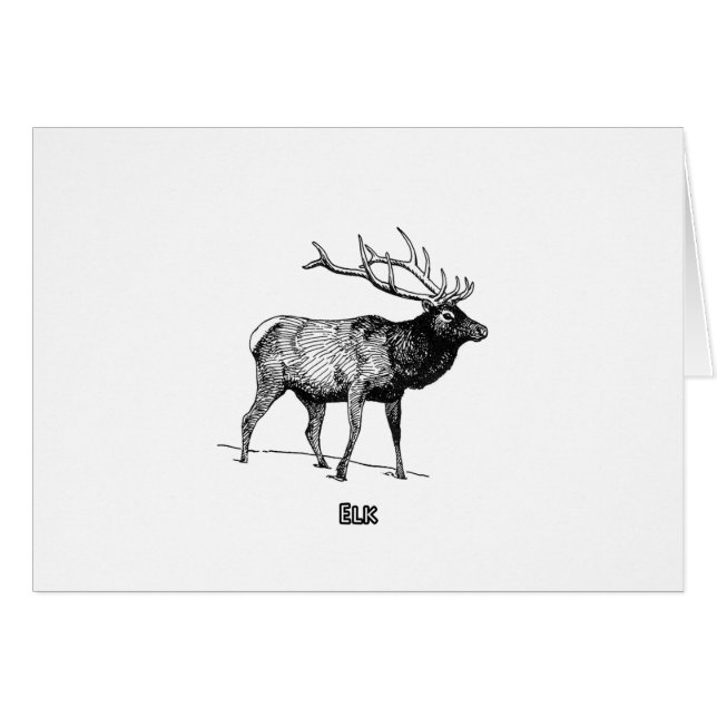 Elk - Wapiti (line art) (Front Horizontal)