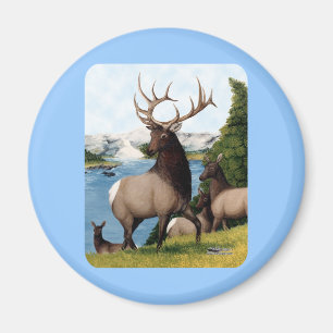 Elk Wapiti Magnet