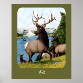 Elk Wapiti Poster