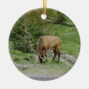Elk With Velvet Antlers Ceramic Tree Decoration
