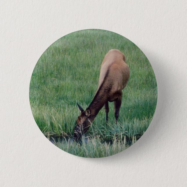 Elk- Yellowstone 6 Cm Round Badge (Front)