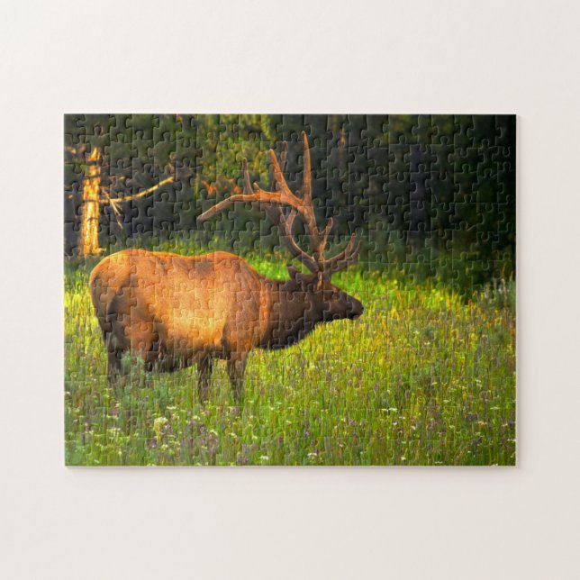 Elk Yellowstone Montana. Jigsaw Puzzle (Horizontal)