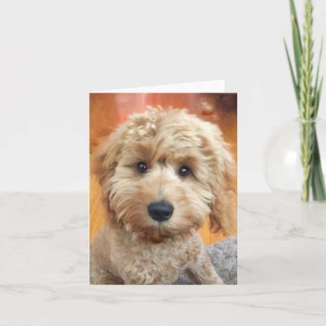 Ella Bella Banana puppy up close Thank You Card (Front)