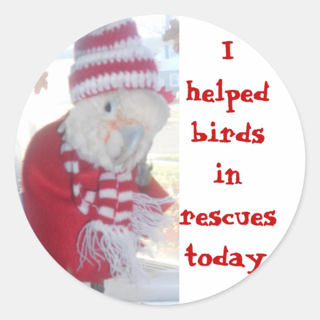 Ella I helped birds in rescues today Classic Round Sticker (Front)
