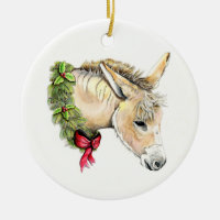 Ella the Christmas Donkey