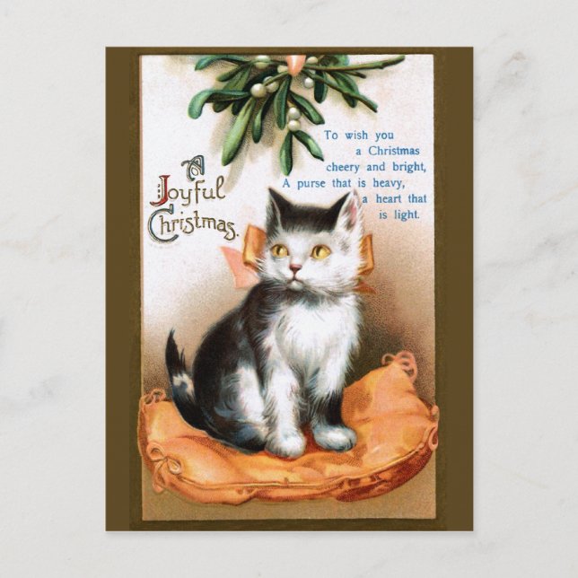 Ellen H. Clapsaddle: Cat under Mistletoe Postcard (Front)