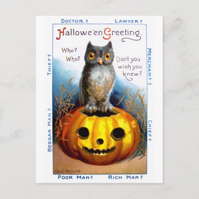 Ellen H. Clapsaddle: Halloween Owl Postcard (Front)