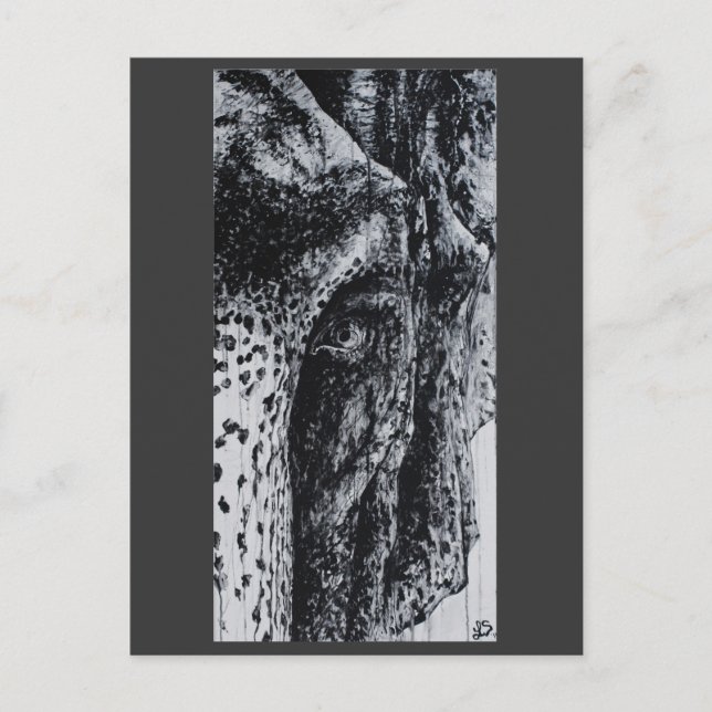 Ellie Elephant Asian Wildlife Jungle Animal Art Postcard (Front)