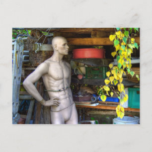 Ellis Garden III Postcard