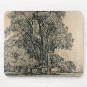 Elm trees in Old Hall Park, East Bergholt, 1817 (p Mouse Pad