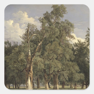 Elm trees in Prater, 1831 Square Sticker